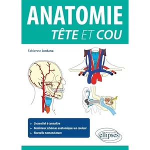 Ellipses Anatomie tête et cou pas cher