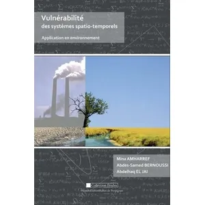 Presses Univeau Perpignan Vulnérabilité des systèmes spatio-temporels pas cher