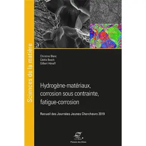 Etude des couplages microstructure - environnement - mécanique pas cher