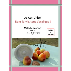 Le cendrier pas cher