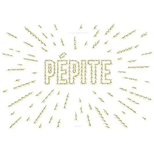 Milan Eds Pépite pas cher