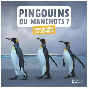 La Martiniere Jeunesse Pingouins ou manchots ? pas cher