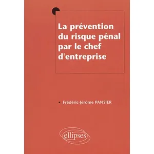 Ellipses La prévention du risque pénal par le chef d'entreprise pas cher