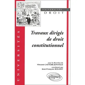 Ellipses Travaux Dirigés De Droit Constitutionnel pas cher