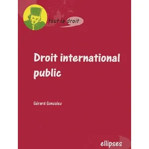 Ellipses Droit International Public pas cher