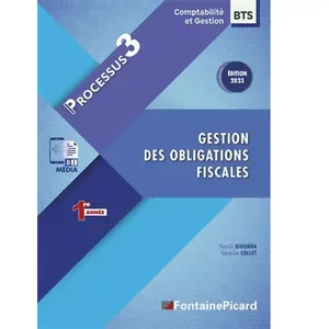 Fontaine Picard Eds Gestion Des Obligations Ficales - Processus 3 pas cher