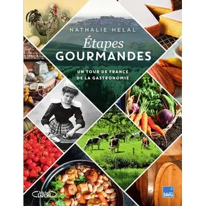 Michel Lafon Etapes Gourmandes pas cher