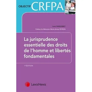 LexisNexis Les Arrêts Essentiels En Droit Des Libertés Fondamentales pas cher