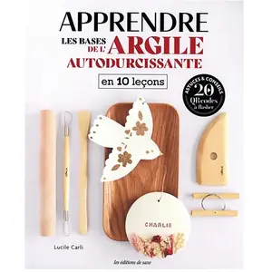 Apprendre Les Bases De L'argile Autodurcissante En 10 Leçons pas cher