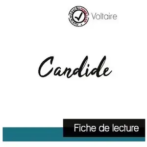 Comprendre la littérature Candide - Etude De L'oeuvre pas cher