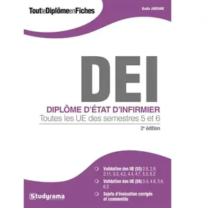 DEI toutes les ue des semestres 5 et 6 pas cher