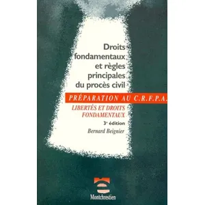 Comparateur de prix : Montchrestien Droits Fondamentaux Et Règles Principales Du Procès Civil - 3ème Édition