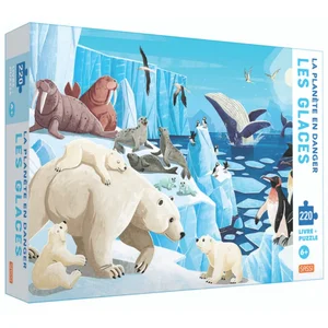 Puzzle - Les glaces - SASSI JUNIOR - Avec 220 pièces - Paysage et nature - Moins de 100 pièces pas cher