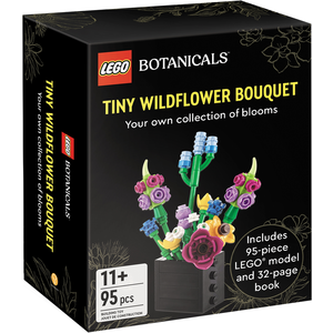 LEGO Petit jardin du désert 5010092 pas cher