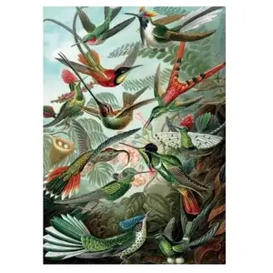 Puzzle 1000 pièces Piatnik Haeckel Colibris pas cher
