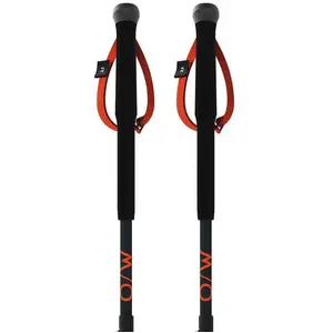 Fischer Bâtons Junior pas cher