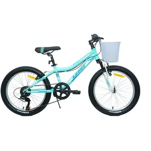 Umit Vélo Diana 20´´ pas cher