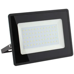 GREENICE Projecteur LED 30W 3600Lm 4000ºK IP66 Intensité variable 60 0...Vendu parmanomano