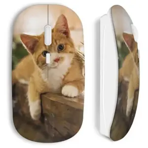 Souris Sans Fil Chat minion Maniacase pas cher