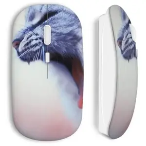 Souris Sans Fil Chat mimi Maniacase pas cher