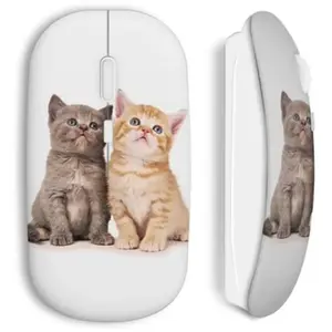 souris sans fil chats mignons Maniacase pas cher
