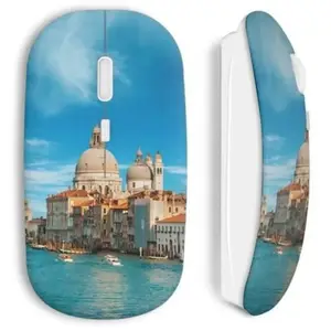 Souris sans Fil Soak city Maniacase pas cher