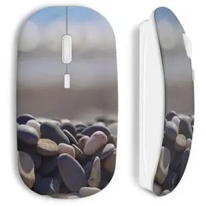 Souris Sans Fil Galets Maniacase pas cher