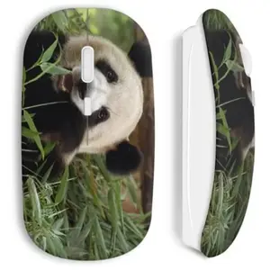 Souris sans fil Panda Cute Maniacase pas cher