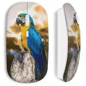 Souris sans fil Perroquet Maniacase pas cher