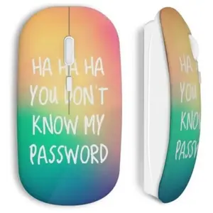 Souris sans Fil You don't know my password Maniacase pas cher