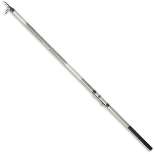 Zunzun Canne Bolognaise Borosa Sx pas cher