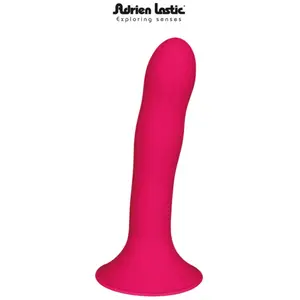 Adrien Lastic Godes classiques Adrien Lastic 265 g pas cher