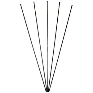 Massi Direwolf Lot de 5 radios droites/plates 286 mm Accessoires vélo Adultes Unisexe Noir 286 mm EU pas cher