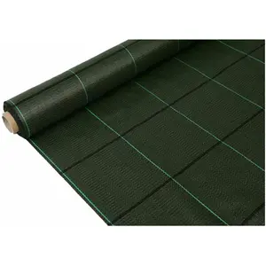 Faura, Protection hivernale + voile de croissance, Anti-grass mesh 100g/m² green 1 x 100 m pas cher