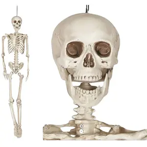 Fiestas Guirca Decoratie skelet pop realistisch - Halloween/horror ver...Vendu parbol