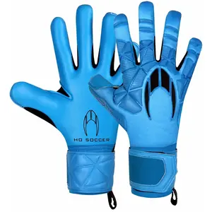Comparateur de prix : Ho Soccer Gants De Gardien De But Ssg Legend Ergo Gecko