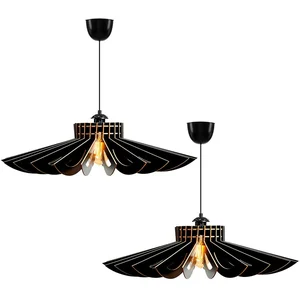 Ensemble de 2 lampes de plafond 45 cm. Noir, type e 27 max 45 - 60 w - Noir - Wellhome pas cher
