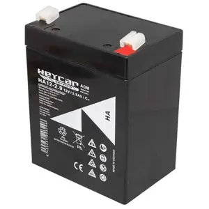 Gp Batteries Batterie De Voiture 12v 2.9ah Heycar Serie Ha pas cher