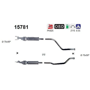 AS Catalyseur pour PEUGEOT: 307 & CITROËN: C4 (Ref: 15781) pas cher