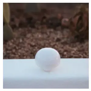 NewGarden Lampes d'intérieur, multicolore, unique pas cher