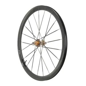 Progress Roue Arrière De Route Orbit 380 Cl Disc Tubeless