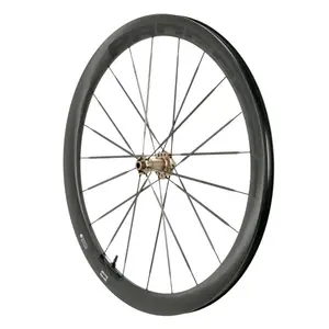 Progress Roue Avant De Route Orbit 450 Cl Disc Tubeless pas cher