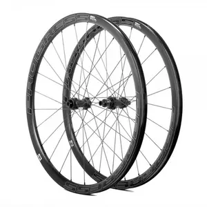 Progress Jeu De Roues De Route G30 Disc TubelessVendu parbikeinn