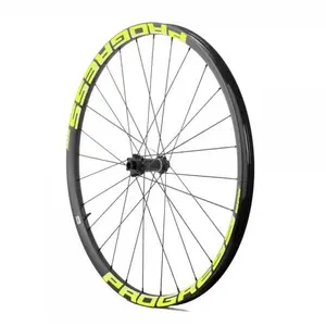 Progress Roue Avant Vtt Gpx 29´´ Lefty 2.0/spmax 6b Disc Tubeless