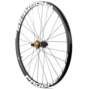 Progress Roue Arrière De Vtt Gp30 29´´ 6b Disc Tubeless