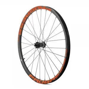 Progress Roue Avant Vtt Gp30 29´´ Boost 6b Disc Tubeless pas cher