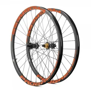 Progress Jeu De Roues Vtt Gp30 29´´ Boost 6b Disc Tubeless pas cher