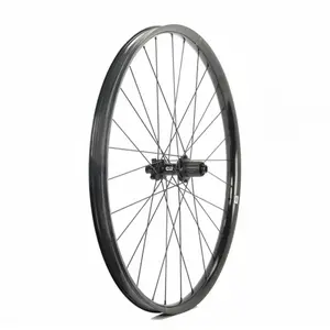 Progress Roue Arrière De Vtt E:race 29´´ Boost Disc Tubeless