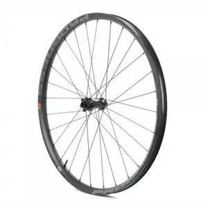 Progress Roue Avant Vtt Mt+ E:race 29´´ Boost 6b Disc Tubeless 15 x 110 mm pas cher