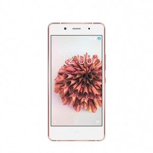 Smartphone - BQ C000208 - bq smartphone Aquaris X5 Plus 4G (16+2GB) white/rose gold pas cher